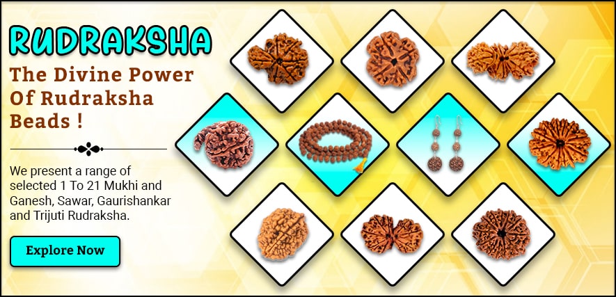 Rudraksha