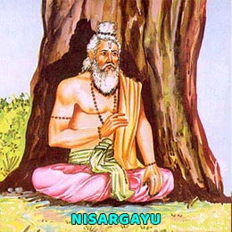 What is Nisargayu (निसर्गायु)?