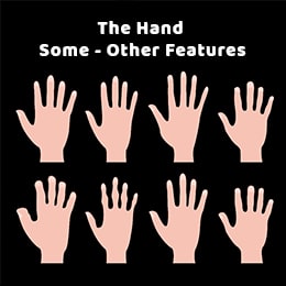 An introduction To the Hand