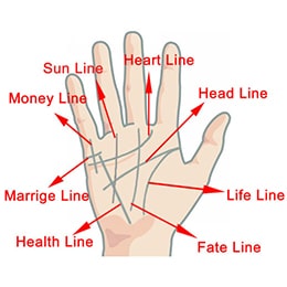 LINES ON THE PALM - AN INTRODUCTION