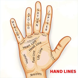 An introduction To the Hand