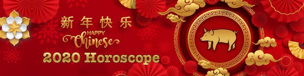 Pig Chinese Horoscope 2020 - 猪中国星座2020