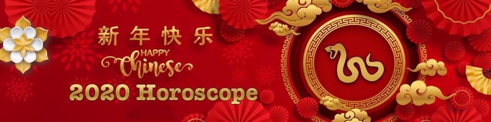 Snake Chinese Horoscope 2020 - 蛇中国星座2020