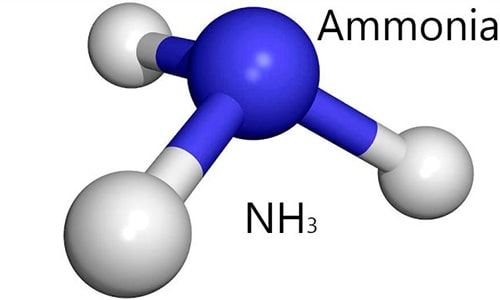 Ammonia