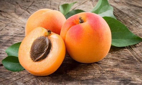 Apricot