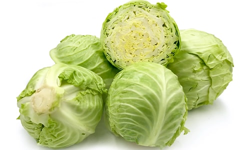 Cabbage