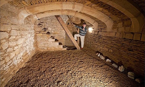 Cellar