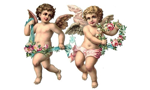 Cherubs