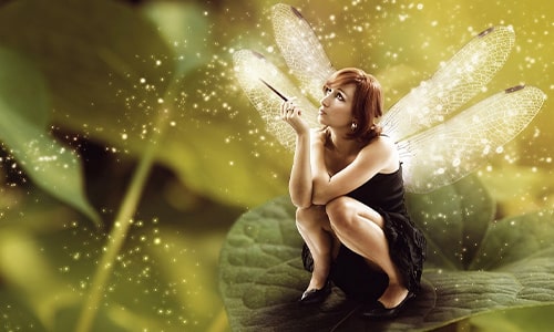 Fairy