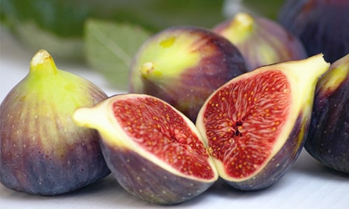 Figs