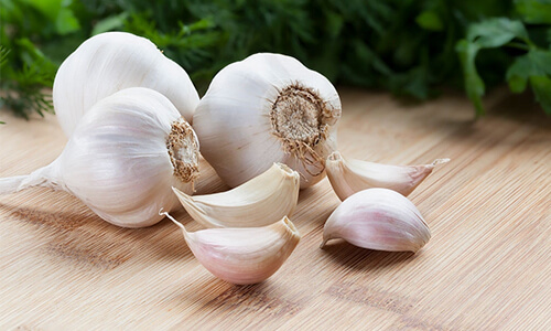 Garlic