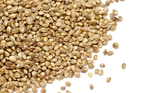 Hemp Seed