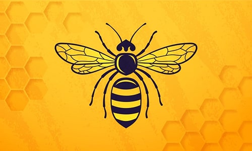 Hornet