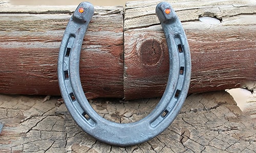 Horseshoe