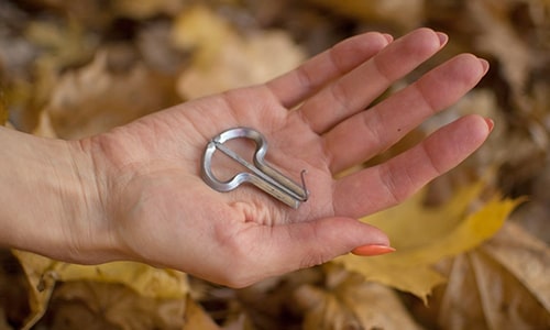 Jews Harp