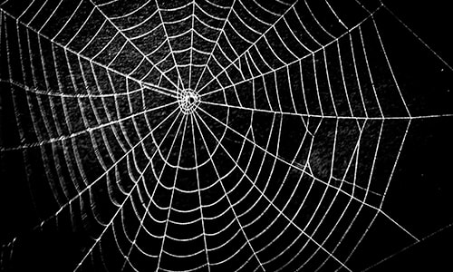 Web