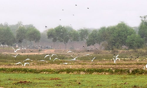 Zoological Garden