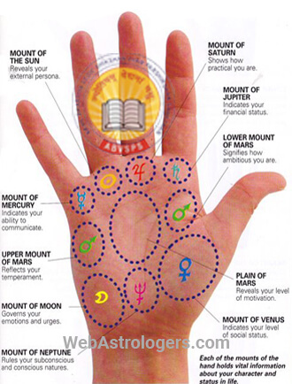 Hand Image