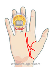 Hand Image