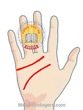 Hand Image