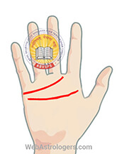 Hand Image