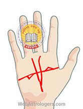 Hand Image