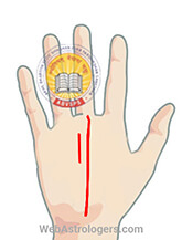 Hand Image