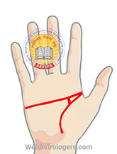 Hand Image