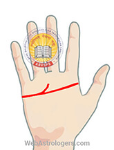 Hand Image