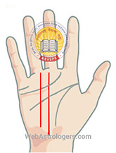 Hand Image