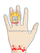 Hand Image