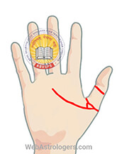 Hand Image