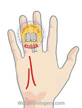 Hand Image