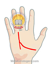 Hand Image