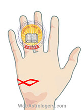 Hand Image