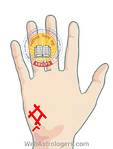 Hand Image