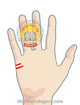 Hand Image