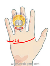 Hand Image