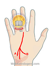 Hand Image