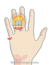 Hand Image