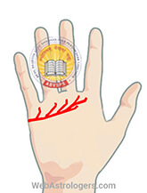 Hand Image