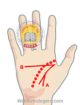 Hand Image