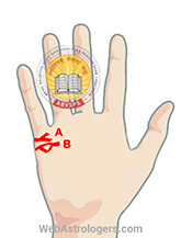 Hand Image