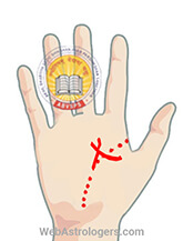 Hand Image