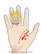 Hand Image