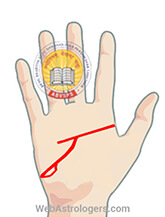 Hand Image