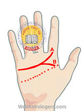 Hand Image