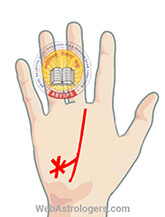 Hand Image