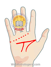 Hand Image