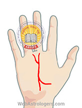 Hand Image